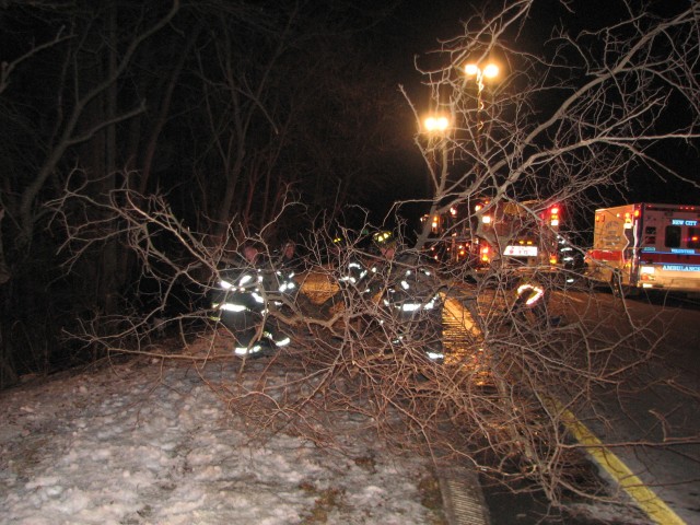 Members moving a tree to open PIP, 1-23-09